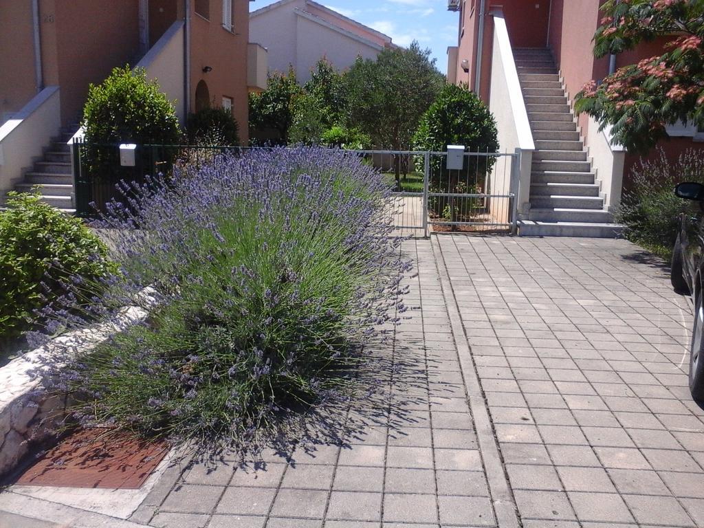 Apartments Danica Водице Екстериор снимка